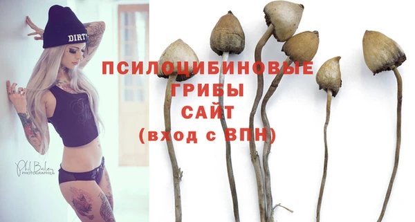 не бодяженный Балахна